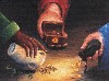 1999 Gifts of gold, frankincense, and myrrh.